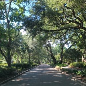 Meet your Posher, Delaney